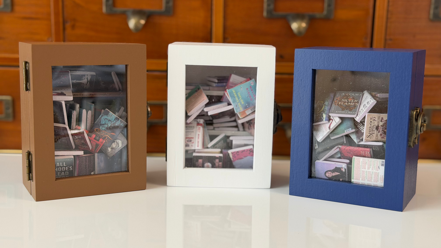 Mini Anxiety Bookshelf